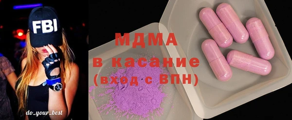 шишки Няндома