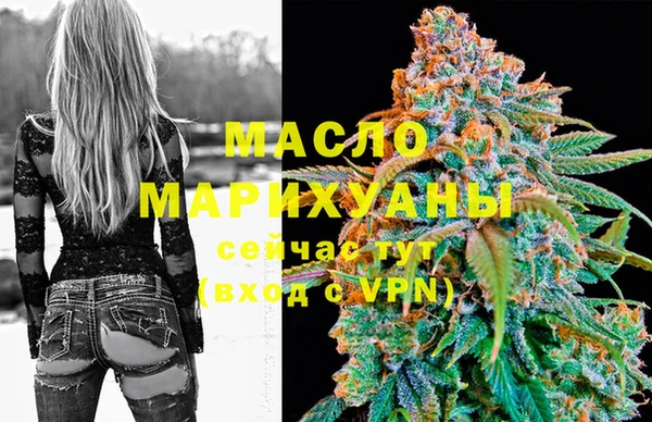 шишки Няндома